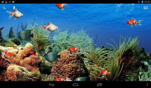 Aquarium Live Wallpaper Pour Android Télécharger Gratuitement