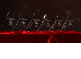 Los trofeos de los ganadores de los Premios PortalProgramas al Software Libre 2015 en milbits