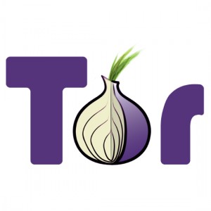 Tor navegador seguro