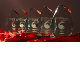 Los trofeos de los ganadores de los Premios PortalProgramas 2016 en milbits